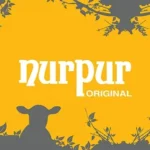 Nurpur foods logo