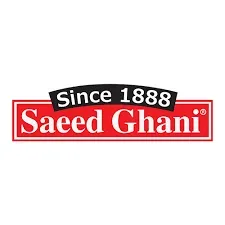 Saeed Ghani