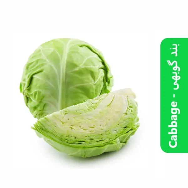 Cabbage – بند گوبھی