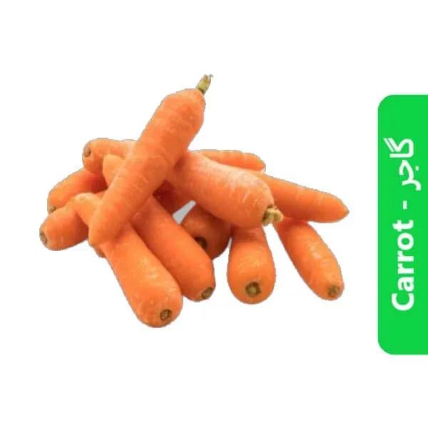 Carrot – گاجر