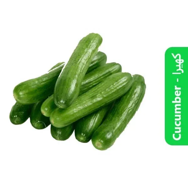 Cucumber – کھیرا