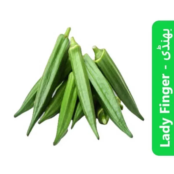 Lady Finger (Bhindi – بھنڈی)