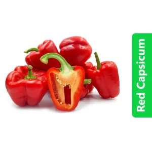 Home 73 Red Capsicum (Red Bell Pepper)