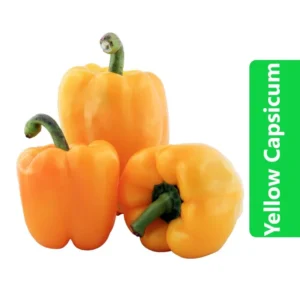 Yellow Capsicum (Yellow Bell Pepper)
