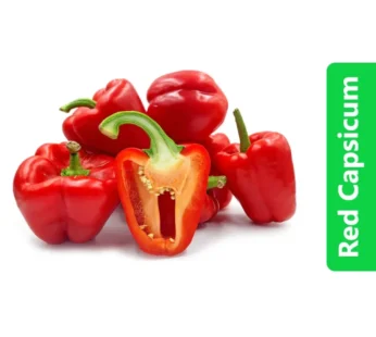 Red Capsicum (Red Bell Pepper)