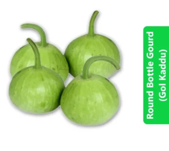 Round Bottle Gourd (Gol Kaddu – کدو)