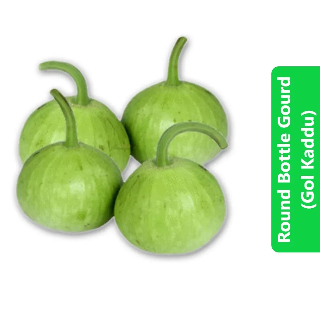 Round Bottle Gourd (Gol Kaddu - کدو) 3 Round Bottle Gourd (Gol Kaddu - کدو)