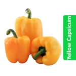 Yellow Capsicum (Yellow Bell Pepper)