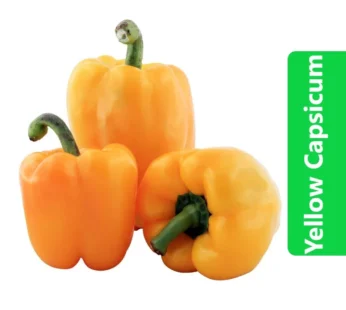 Yellow Capsicum (Yellow Bell Pepper)