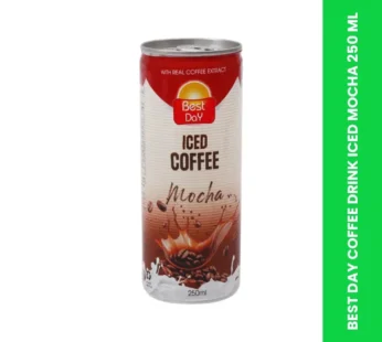 BEST DAY COFFEE DRINK ICED MOCHA 250 ML