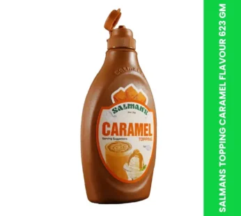 SALMANS TOPPING CARAMEL FLAVOUR 623 GM