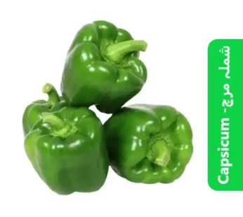 Capsicum (Shimla Mirch – شملہ مرچ)