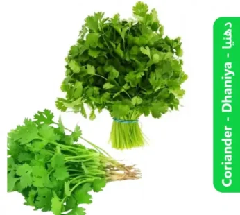 Coriander ( Dhaniya – دھنیا )