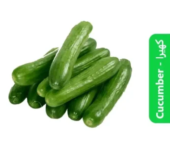 Cucumber – کھیرا