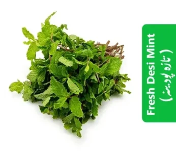Fresh Desi Mint (تازہ پودینہ)