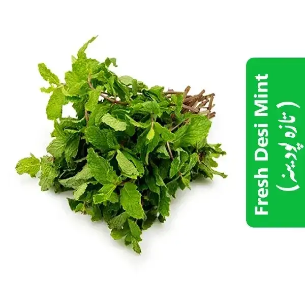 Fresh Desi Mint (تازہ پودینہ) 3 Fresh-Desi-Mint-تازہ-پودینہ