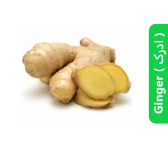 Ginger ( ادرک )
