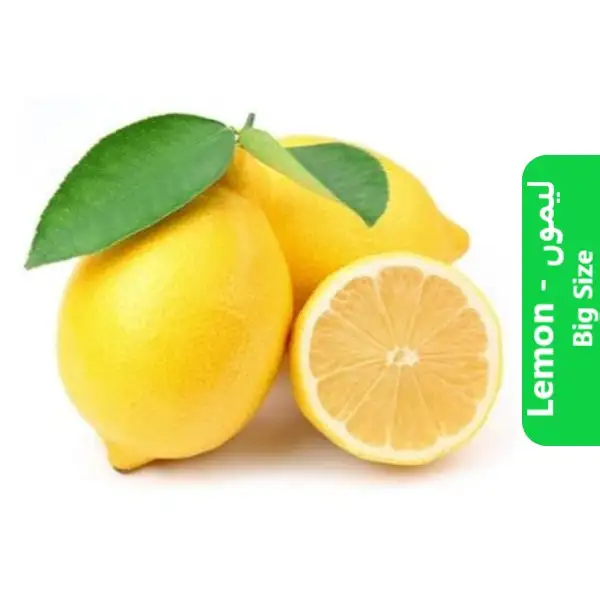 Lemon ( لیموں ) - Big Size