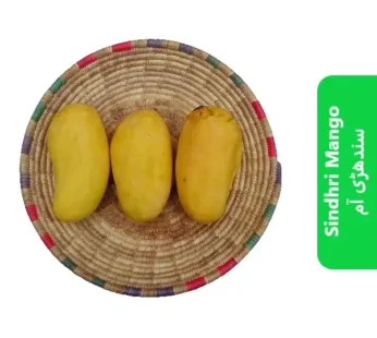 Sindhri Mango ( سندھڑی آم )