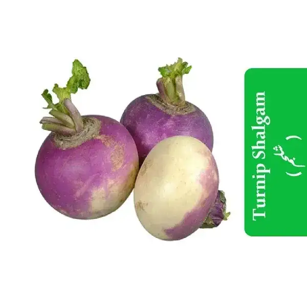 Turnip-Shalgam-شلجم
